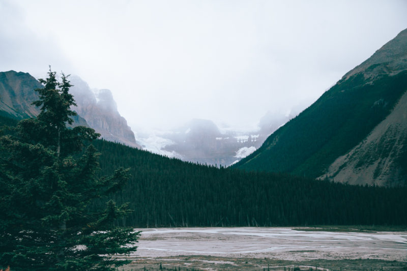 BC Alberta roadtrip 9233 | Overland Lady by Monique Song