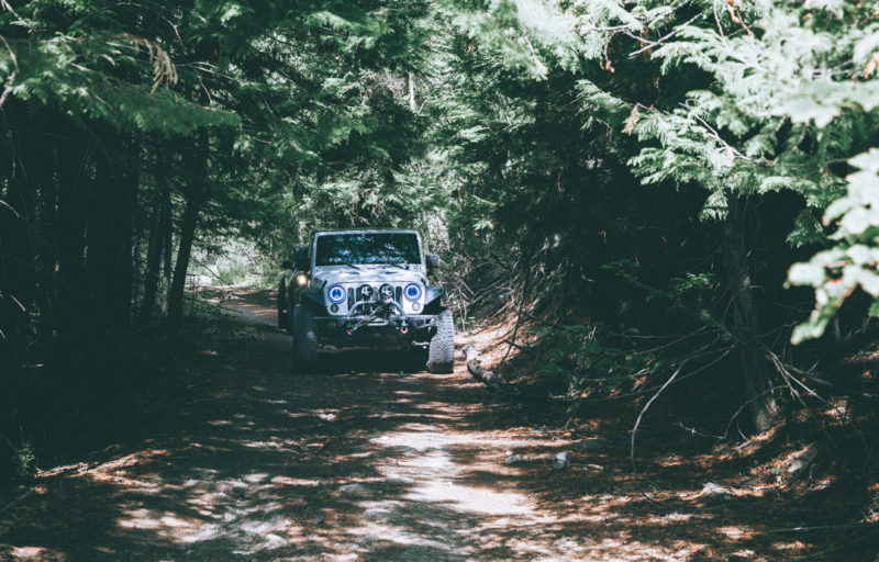 BC Alberta roadtrip 9389 | Overland Lady by Monique Song