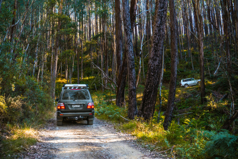 VicHighCountry 14 | Overland Lady by Monique Song