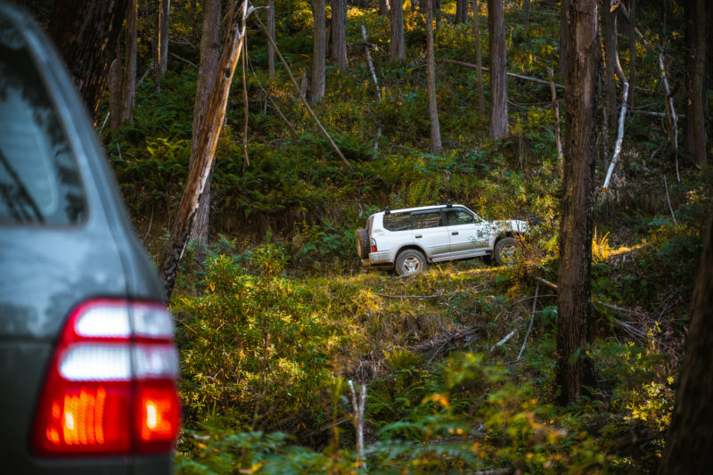 VicHighCountry 15 | Overland Lady by Monique Song