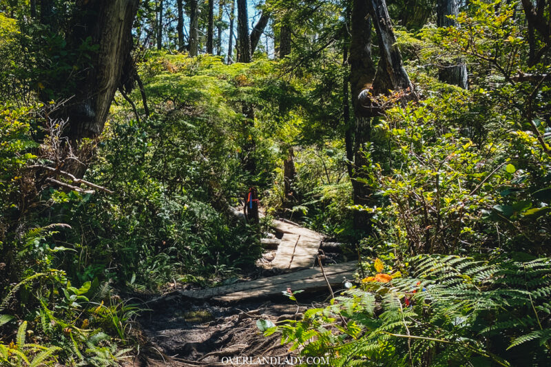 How to get to canso bomber crash site tofino 7 | Overland Lady by Monique Song