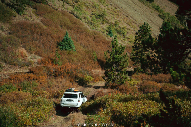 Poison Mountain WCOR Overlanding BC 54 | Overland Lady by Monique Song