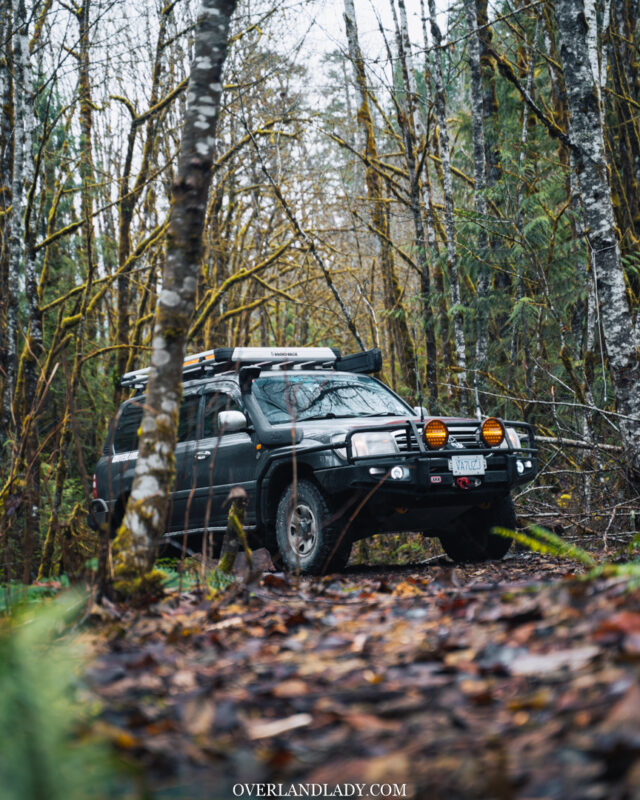 Landcruiser 100 Series in the woods 2 | Overland Lady by Monique Song