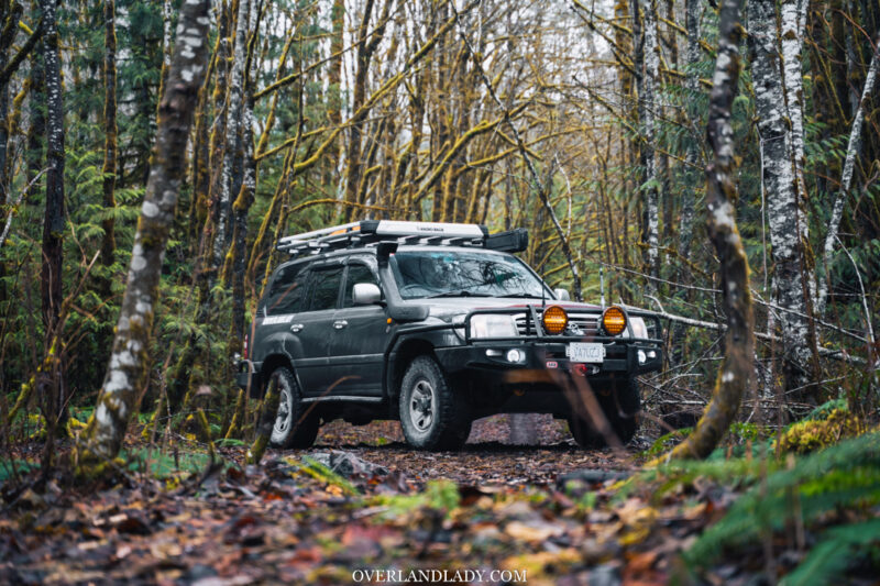 Landcruiser 100 Series in the woods | Overland Lady by Monique Song