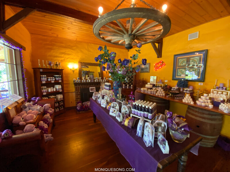 Cape Lavender Tea House 3 | Overland Lady by Monique Song