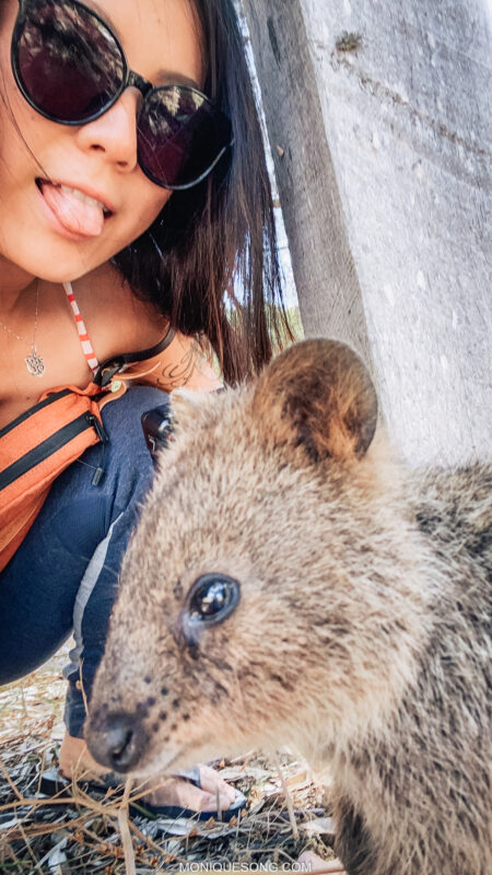 Rottnest Island quokka | Overland Lady by Monique Song