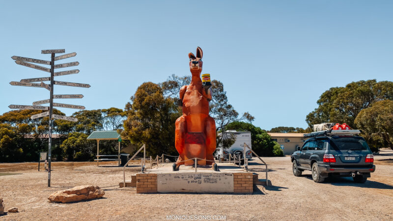 SA WA Border vegemite kangaroo sculpture