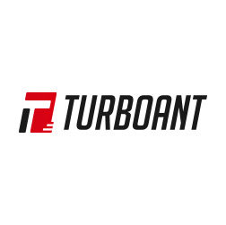 turboant logo 1 | Overland Lady by Monique Song