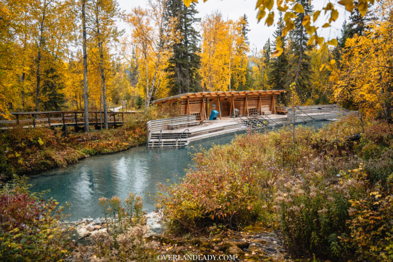Liard Hotsprings Alaska Highway | Overland Lady by Monique Song