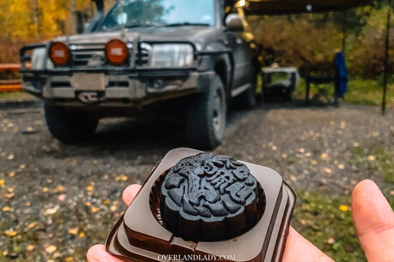 Mooncake Toyota Landcruiser Camping | Overland Lady by Monique Song